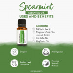 Nourish Your Senses: Benefits Of Spearmint Essential Oil – Moksha Lifestyle  Products